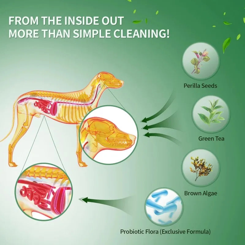 Pet Dental Powder with Green Tea Extract | Private Label & OEM