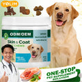 Advanced Omega-3 & Antioxidant Skin Support Chews | OEM/ODM