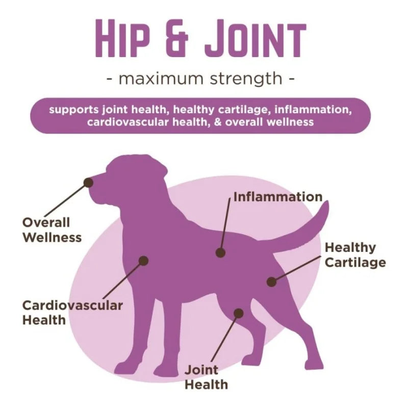 OEM Custom Pet Hip & Joint Supplements for Dogs Enhance Flexibility Turmeric Curcumin 90 Tasty Chews for All Ages & Breeds