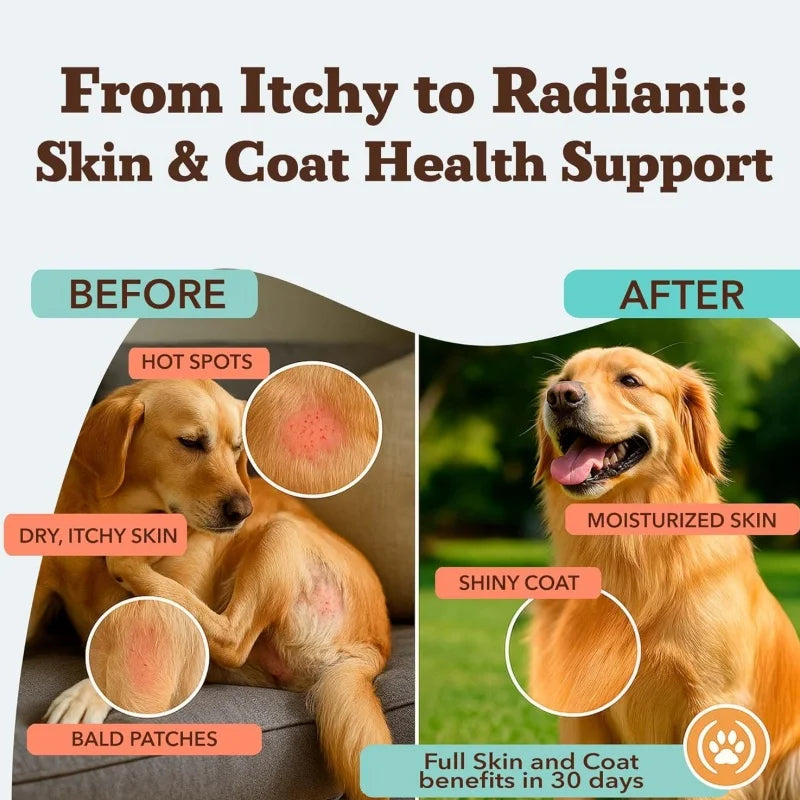 OEM/ODM Service Relieves Itching and Seasonal Allergies Dog Supplement Pet Collagen Drops with Omega 3