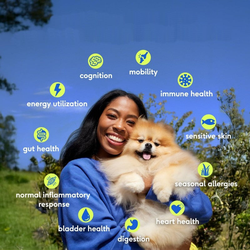 Direct Manufacturer Strengthen Immune System and Digestive Health Dog Vitamins Powder for All Breeds Pet Supplements Free Sample