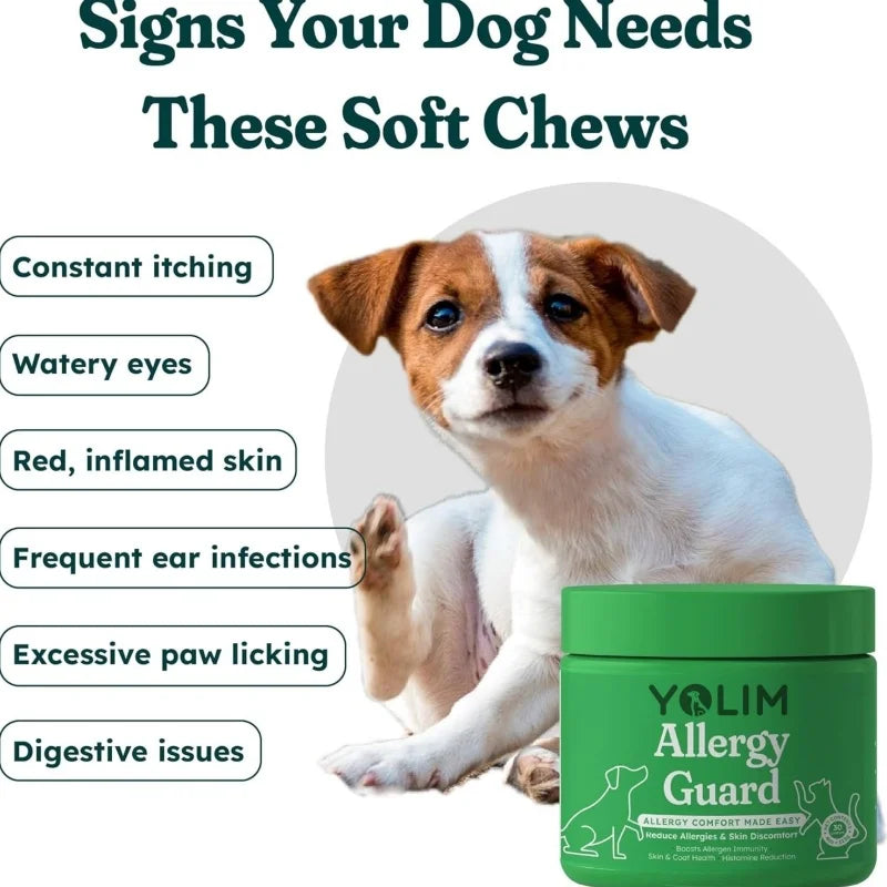 Factory Direct Promote Immune & Skin Health Pet Supplements and Vitamins Dog Treats with Salmon Oil