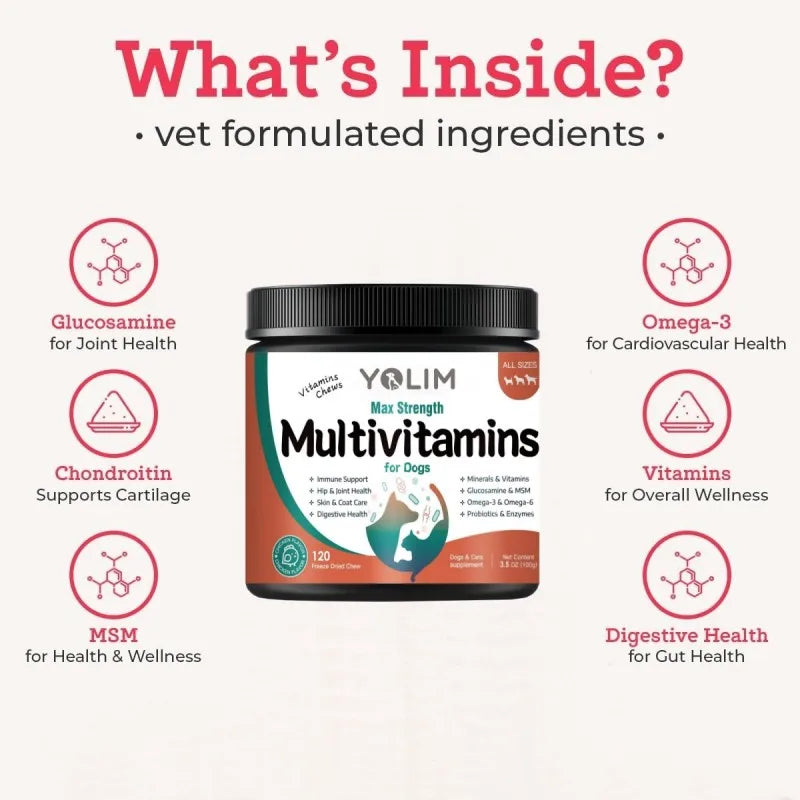 Private Label Multivitamin Supplements for Dogs Reduce Susceptibility to Illness with Phosphorus 120 Chewable for All Breeds