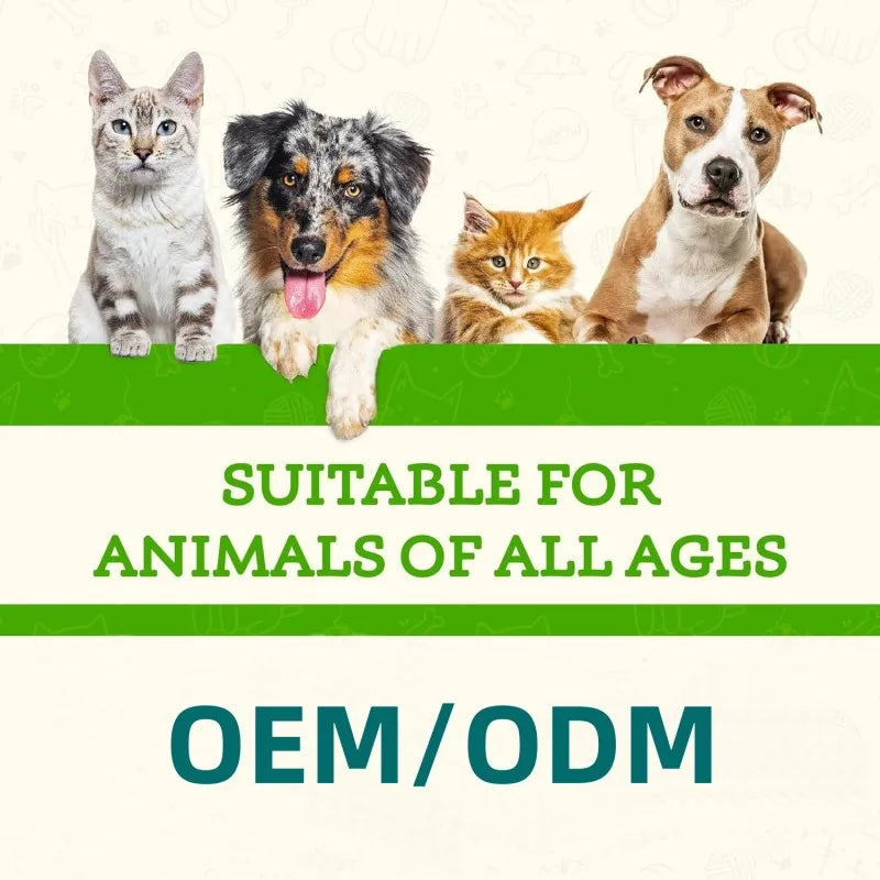 Stable Custom Service Skin and Coat Health Allergy Relief Liquid Salmon Oil DHA & EPA for Dogs Pet Supplements Secure Packaging