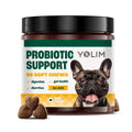 OEM ODM Service Probiotic Support Chews for Dogs Reduce Bloating & Flatulence with Beneficial Bacteria 90Soft Chews Free Sample
