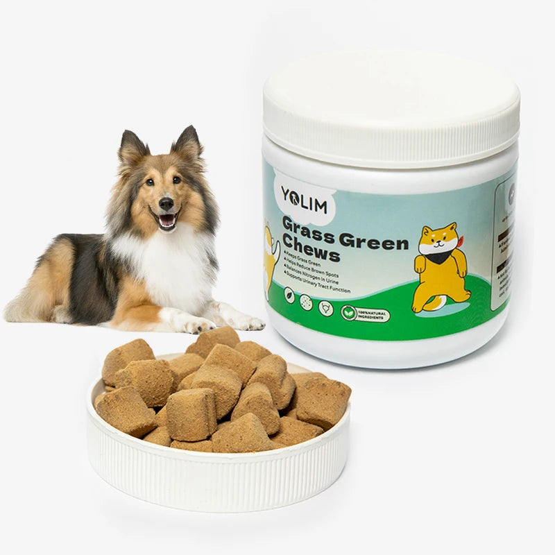 Wholesale Price Keeps Grass Green Supports Digestion Pet Health Care & Supplements Dog Vitamins with Cranberry