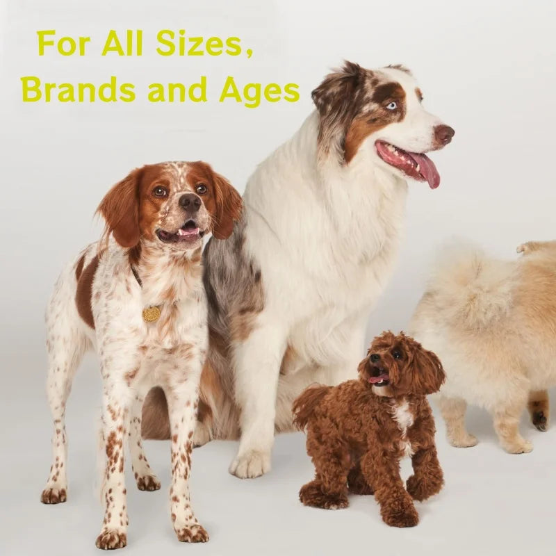 Fast Shipping Supports the Liver Normal Detox Process Pet Health Care & Supplements Dog Vitamins with Milk Thistle Extract