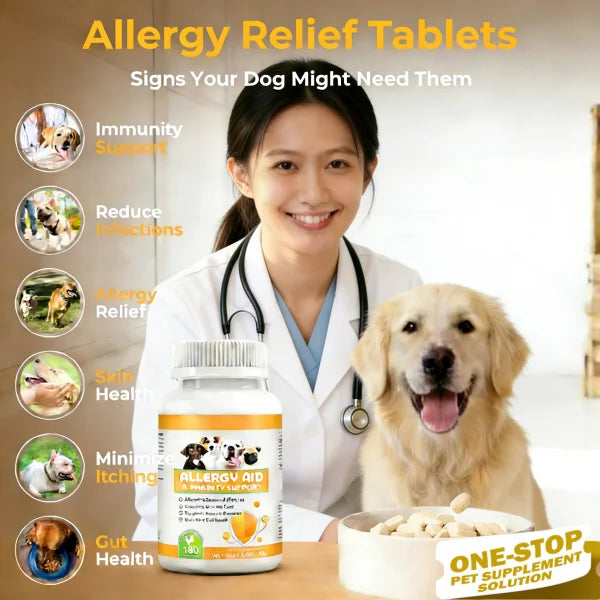 Inulin Allergy Aid & Immune Support Tablets (Chicken Flavor) | OEM/ODM Service