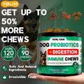 Free Sample Helps Ease Upset Stomach Pet Health Care & Supplements Dog Probiotics for Digestion Health