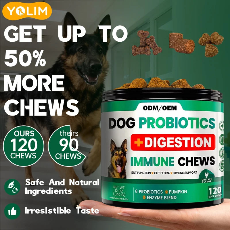 Free Sample Helps Ease Upset Stomach Pet Health Care & Supplements Dog Probiotics for Digestion Health
