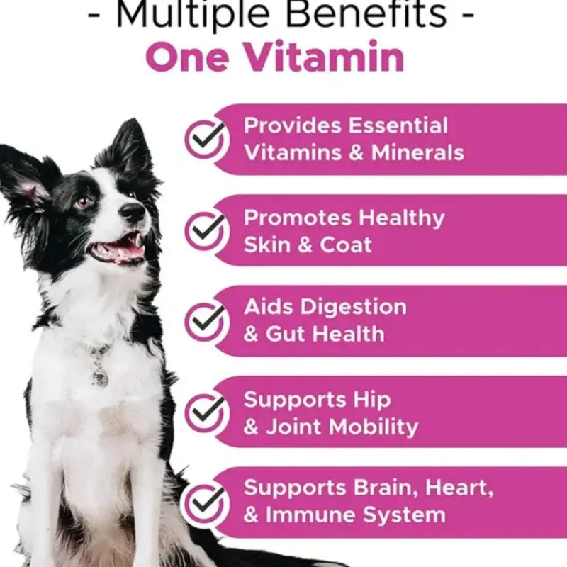 High Quality Provides Essential Vitamins & Minerals Dog Supplement Dog Vitamins for Joint & Skin Health