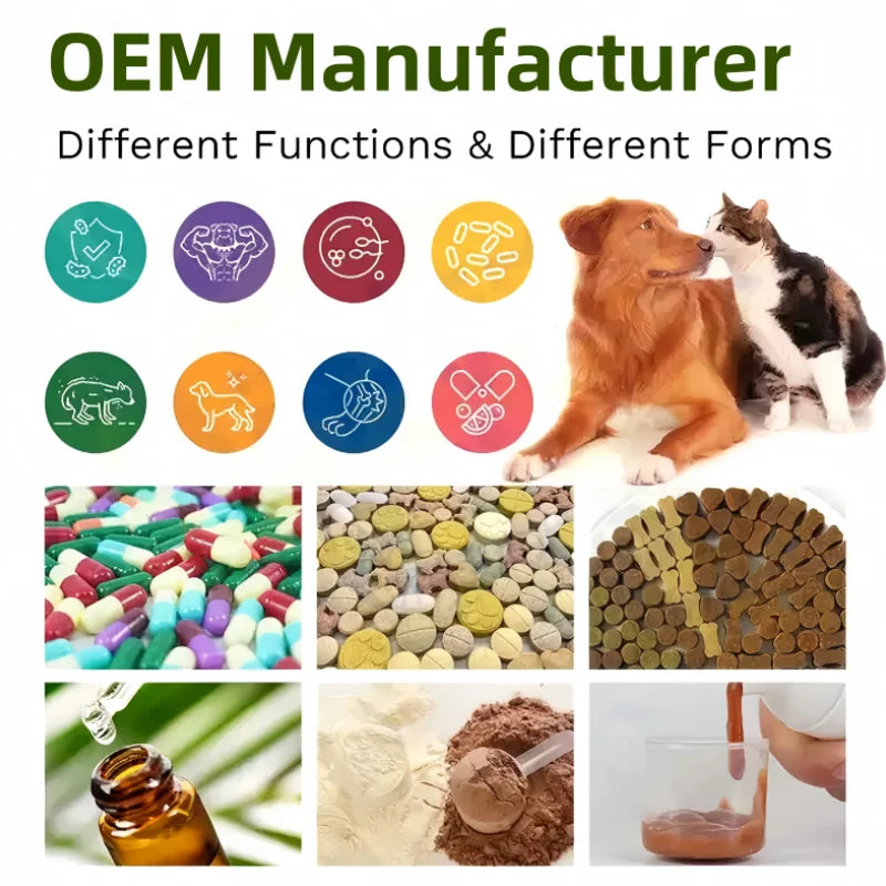 MSM Joint Powder for Pet Hip & Joint Support | OEM/Private Label