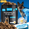 OEM Custom Hip & Joint Chews for Dogs Relieve Joint Discomfort Glucosamine 120 Chews for All Breeds Free Sample