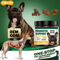 OEM ODM Dog Probiotic Support Chews Helps Ease Upset Stomach with Live Active Cultures 90 Soft Chews Pork Flavor