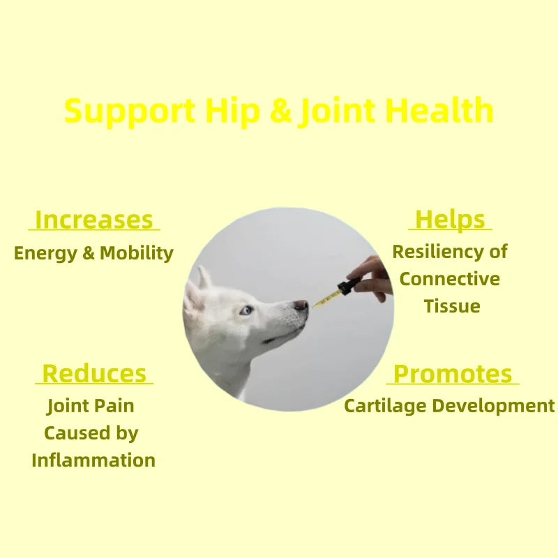 OEM/ODM Service Support Natural Pain Dog Hip and Joint Fluid Supplements With Glucosamine Pet Supplements for All Dog