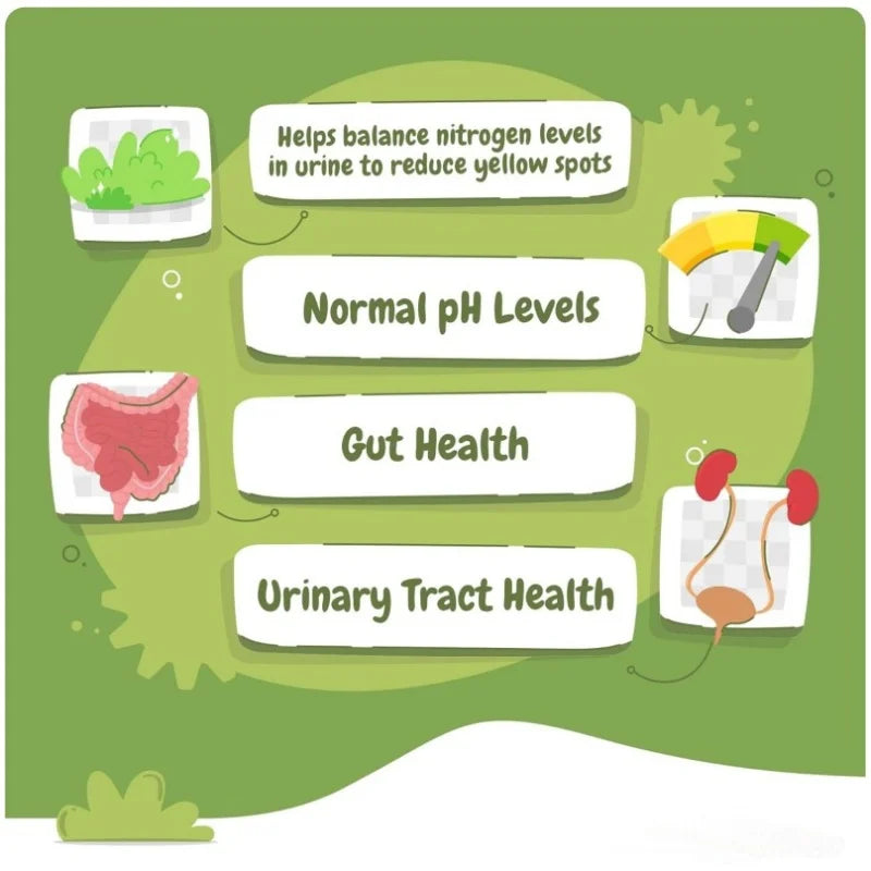 Private Label Dog Vitamins Keeps Grass Green Supports Digestion Pet Health Care & Supplements with Cranberry