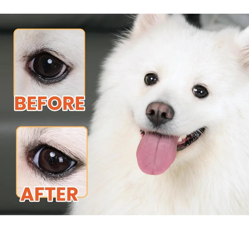 Wholesale Price Clear Sticky Discharge Dirt and Lrritants Pets Wellbeing  Dog Supplement for Eye Health