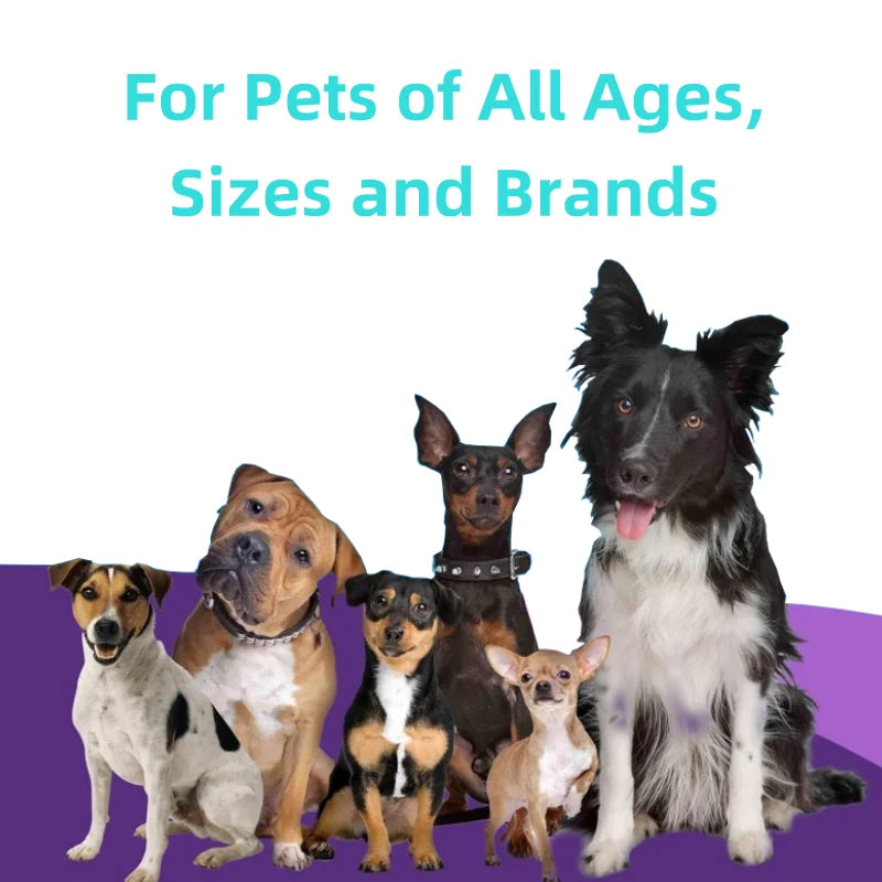 OEM/ODM Service Promote Hip and Digestive Health Pet Supplement Dog Vitamins Liquid  for Whole Body Health