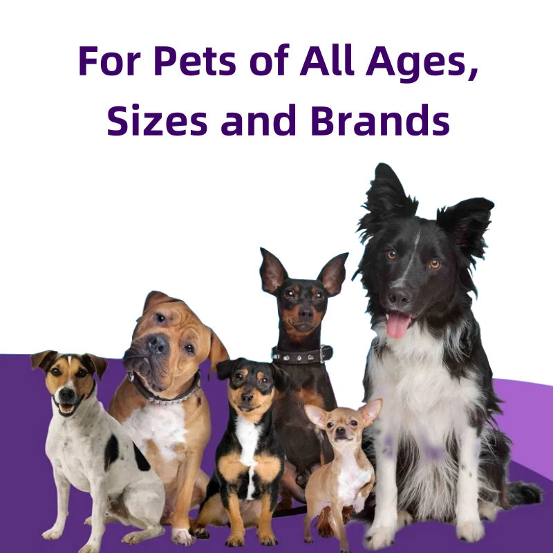 Professional Custom Service Promotes Healthy Skin & Immune Support Tablet for All Breeds Pet Supplements Free Sample