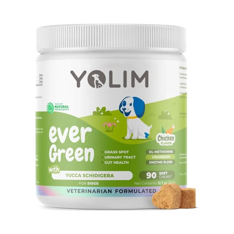 Best Selling Urinary Track Health Supports Pet Supplements and Vitamins Dog Treats with Probiotics