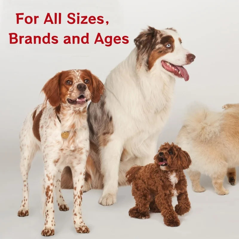 Hot Selling Advanced Liver & Kidney Liquid Support the Immune System Dog Supplement Pets Wellbeing with Milk Thistle Extract