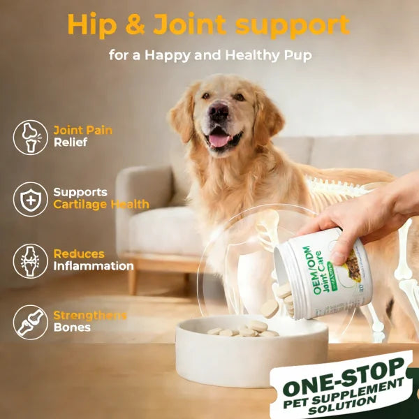 MSM Joint & Mobility Tablets (Duck Flavor) | OEM/ODM Service