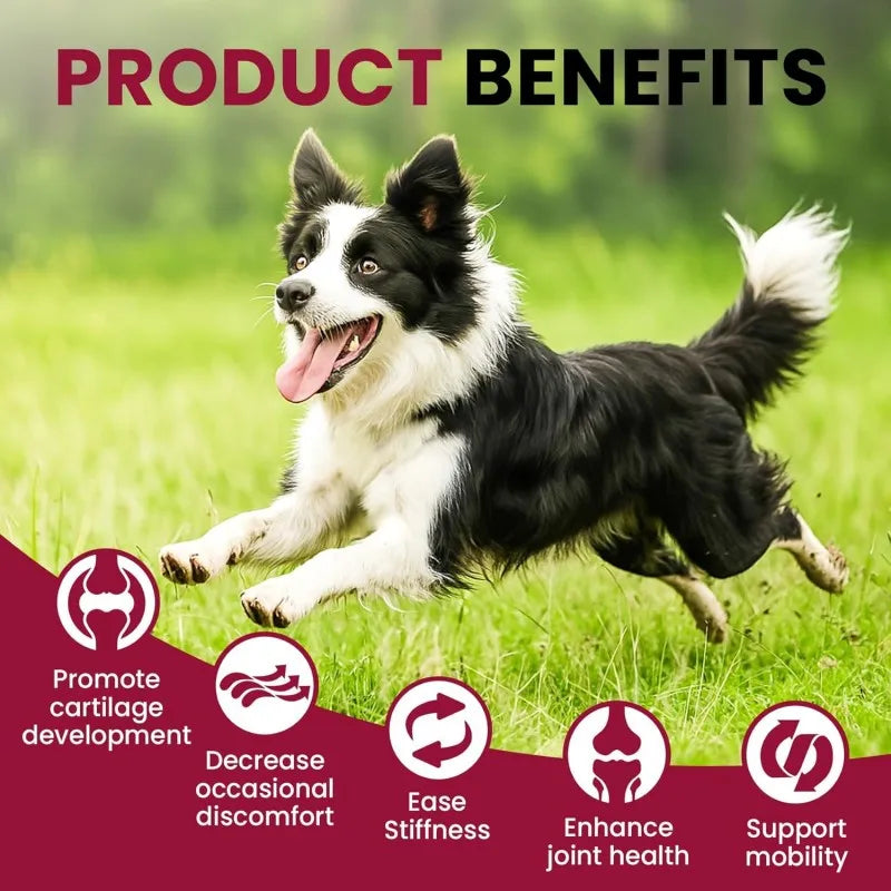 Free Sample Increases Energy & Mobility Pet Health Care & Supplements Soft Chews for Dogs & Cats