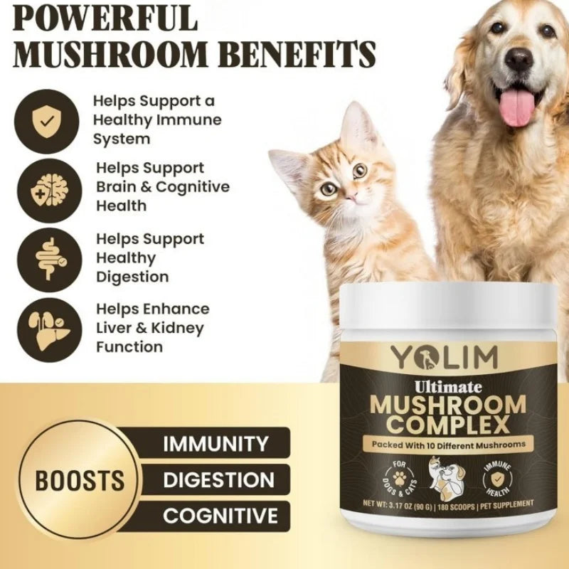 Wholesale Price Mushroom Powder Lion's Mane Cognition & Brain Health Dog for All Breeds Pet Supplements Free Sample