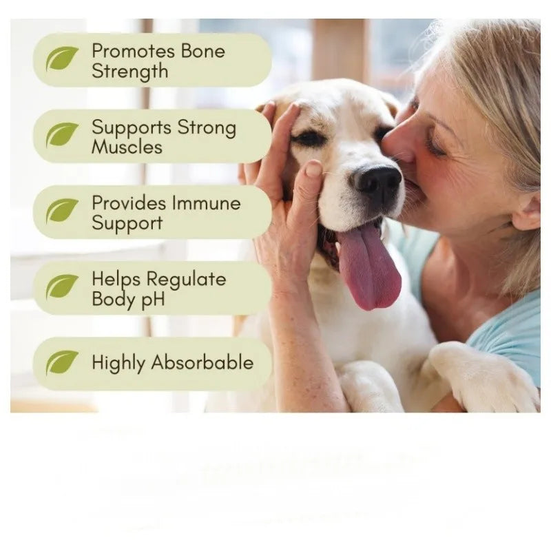 OEM ODM Service Hip & Joint for Dogs Protect Joint Structure Hyaluronic Acid 120 Chews Free Sample Pet Supplements
