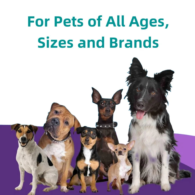 Free Design Service Dietary Fiber Gut Health with Probiotics for All Breeds Pet Supplements and Vitamins Powder Fast Shipping
