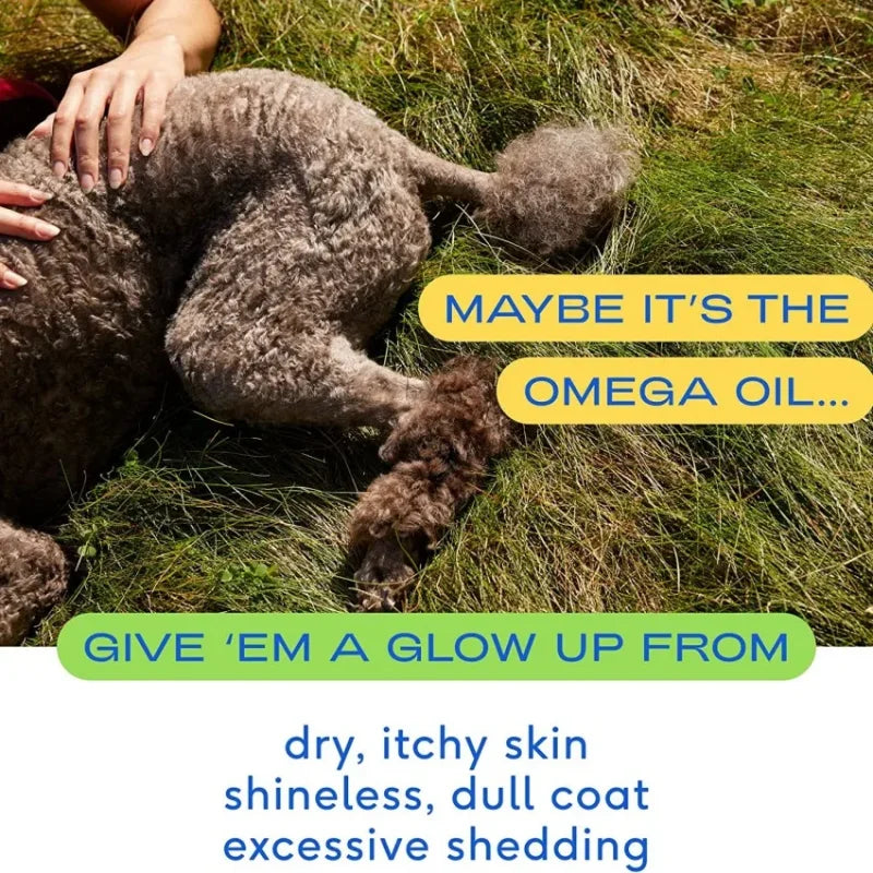Stable Custom Service Skin and Coat Health Allergy Relief Liquid Salmon Oil DHA & EPA for Dogs Pet Supplements Secure Packaging