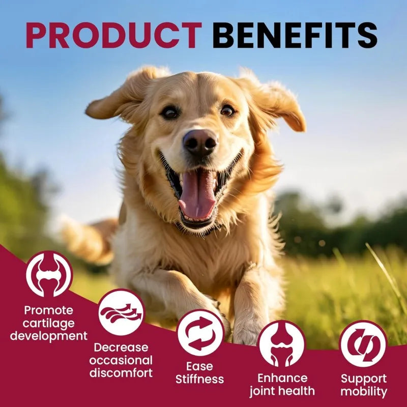 Private Label Hip & Joint for Pet Supplements Support Stiff Joints with Chondroitin 120 Chews Chicken Flavor for All Ages