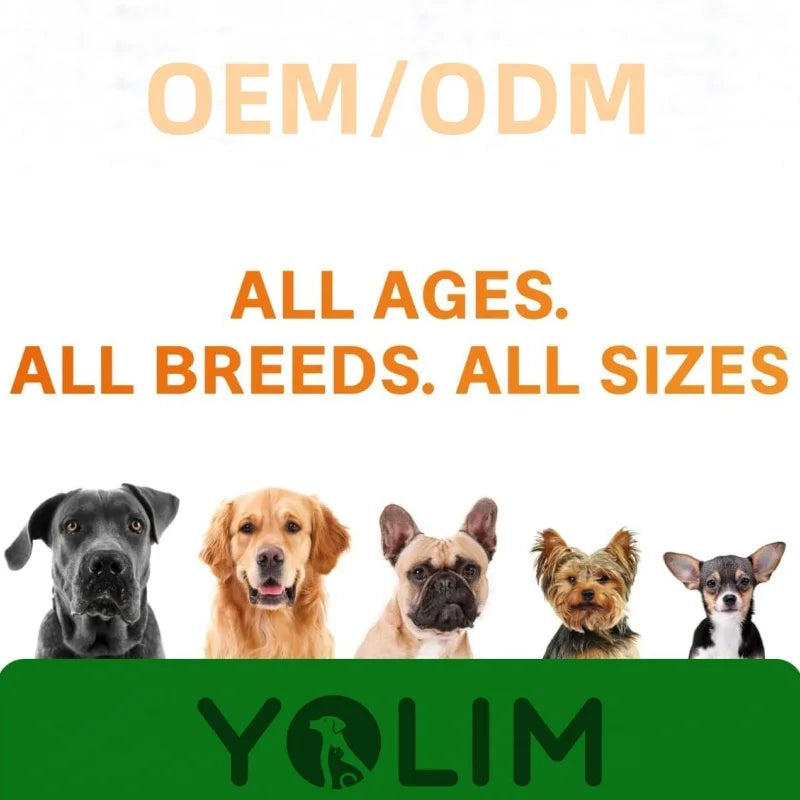 Wholesale Price Inflammation Relief Skin Heart Coat Care Liquid Pet Health Care & Supplements Dog Vitamins with Salmon Oil