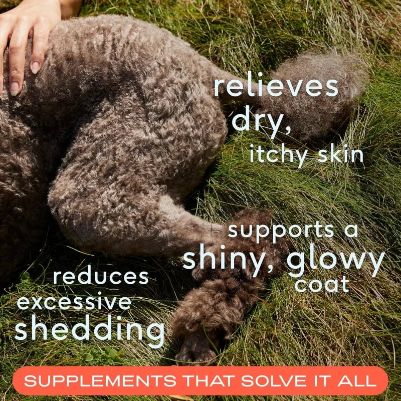 Private Label Soothes Dry Itchy Skin & Boosts Immune System Dog Supplement Soft Chews with Omega 3