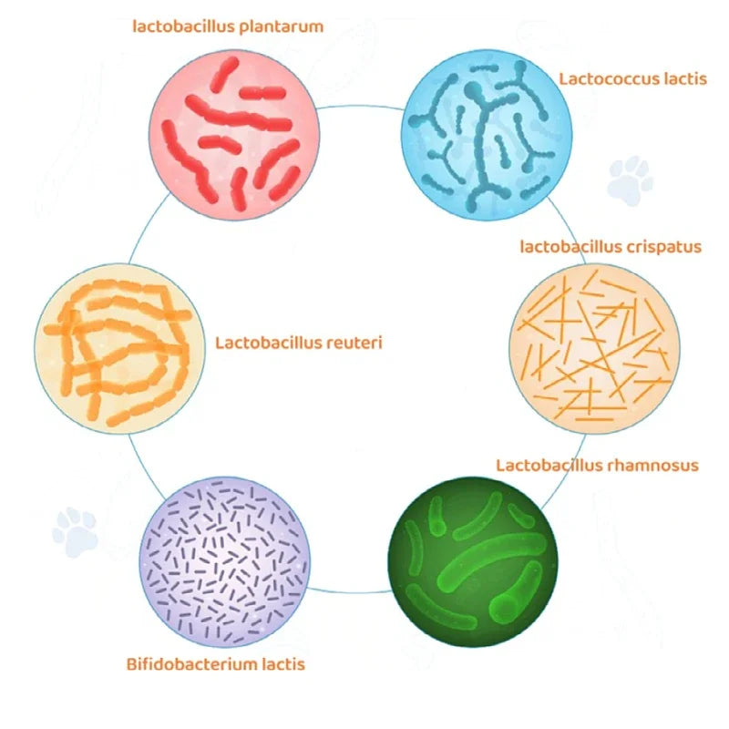 Customized Label Probiotic cat Treats for Pet Supplements Stabilize Gut During Environment Change with Probiotic Strains 150g