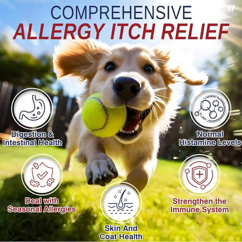 Allergy Relief Soft Chews for Dogs & Cats Immune Support & Skin & Coat Health Pet Supplements