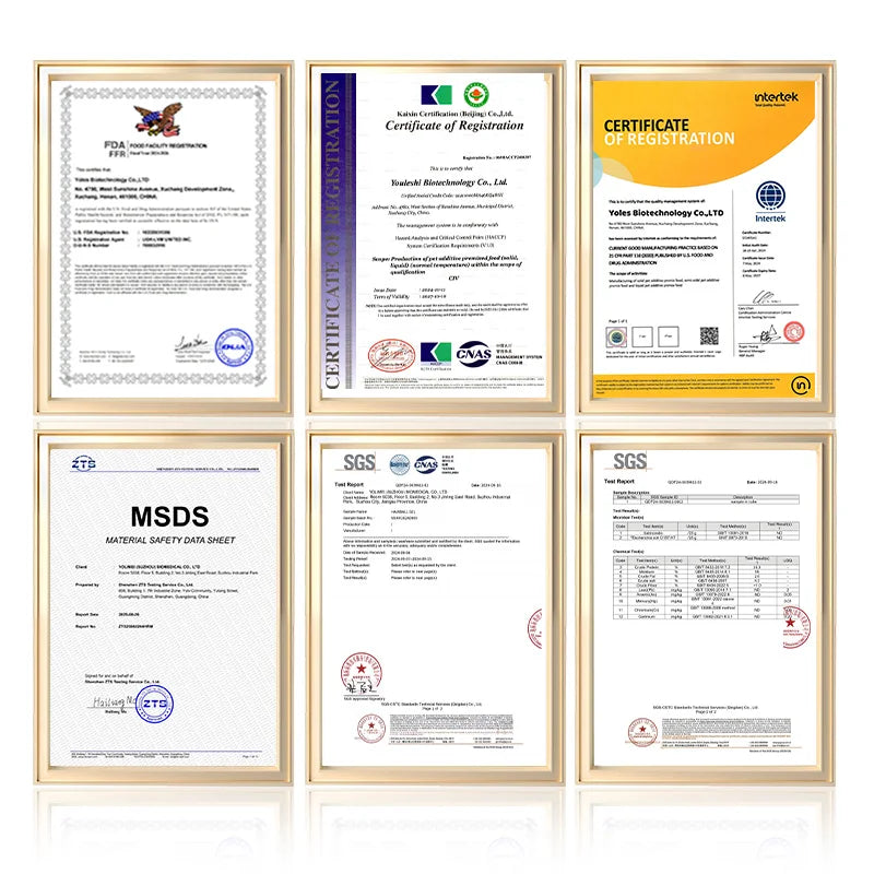 MSM Joint & Mobility Tablets (Duck Flavor) | OEM/ODM Service