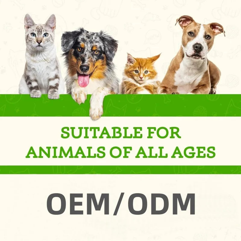 Wholesale Pet Salmon Oil for Skin & Coat | Bulk Supply & OEM Service