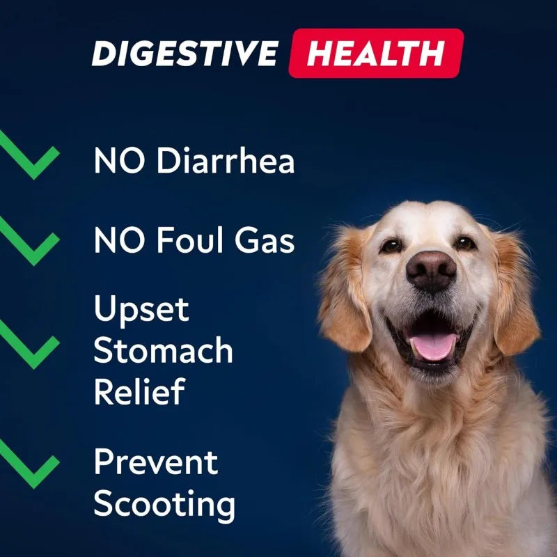 OEM/ODM Service Probiotic Chews for Dogs & Cats Seasonal Gut Care with Marshmallow Root Extract 120 Soft Chews Free Sample