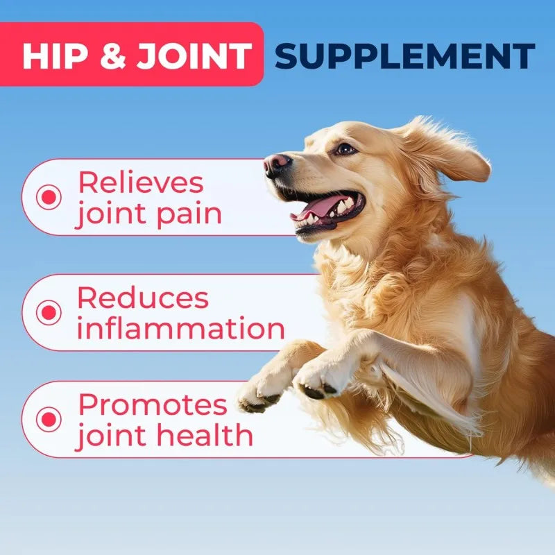 MSM Joint Powder for Mobility & Flexibility | OEM/Private Label