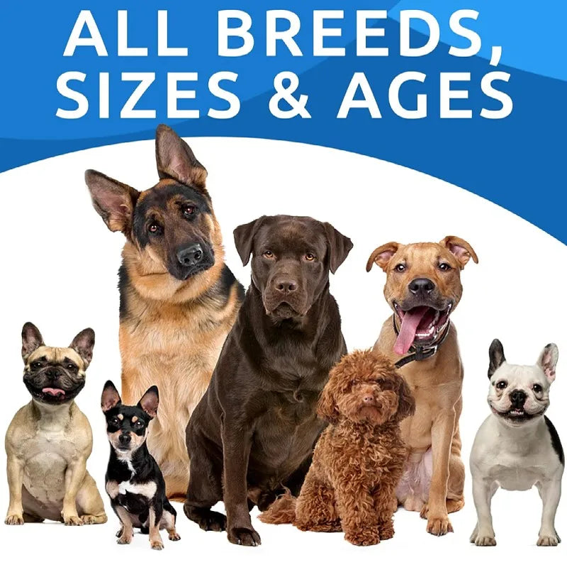 Best Selling Urinary Track Health Supports Pet Supplements and Vitamins Dog Treats with Probiotics