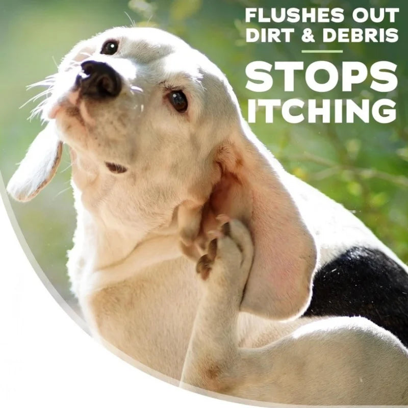 Fast Shipping Cleans & Dries Ear Canal Pet Health Care & Supplements for Ear Health Care