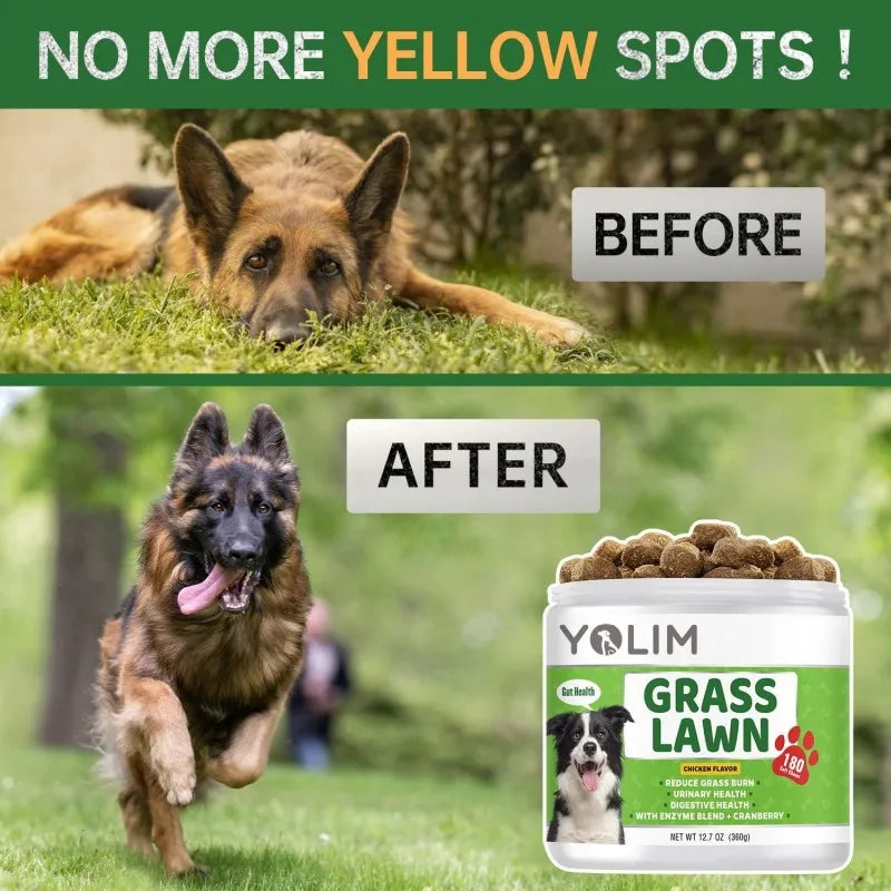 Private Label Supports Urinary Track Health Dog & Cat Soft Chews with DL-Methionine & Probiotics
