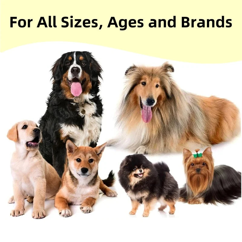 High Quality Allergy Relief & Immune Support Pet Supplements Soft Chews with Skin & Coat Health for Dogs and Cats All Breeds