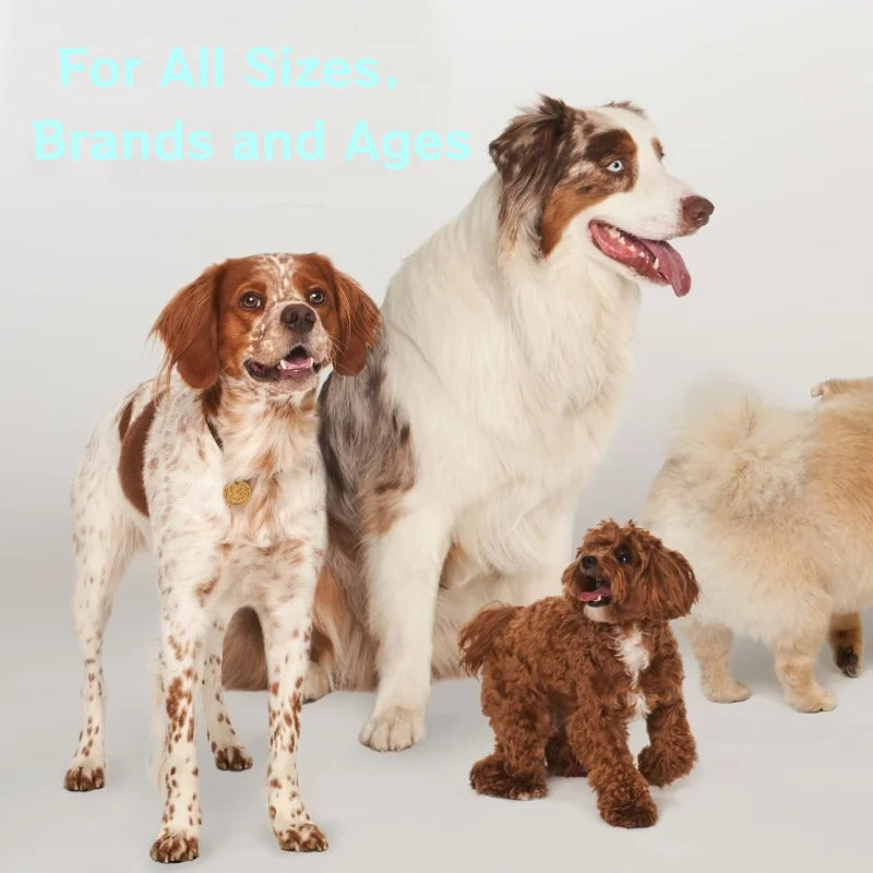 Wholesale Bulk Increases Energy & Mobility Dog Treats Joint Health MSM Glucosamine for Dogs Pet Supplements Secure Packaging