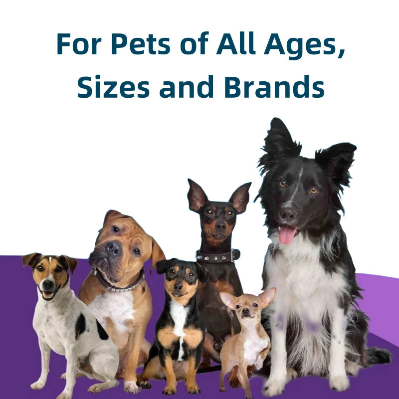 Direct ManufacturerSupports Everyday Digestive & Skin Health with Probiotics Tablet for All Breeds Pet Supplements Fast Shipping