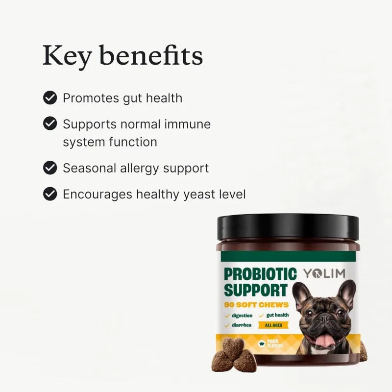 OEM ODM Service Probiotic Support Chews for Dogs Reduce Bloating & Flatulence with Beneficial Bacteria 90Soft Chews Free Sample