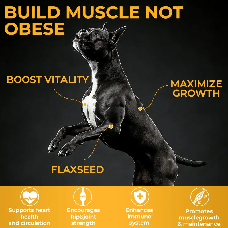 OEM/ODM Available with High Protein Muscle Gain Soft Chews for Dogs Promotes Muscle Growth Pet Supplement