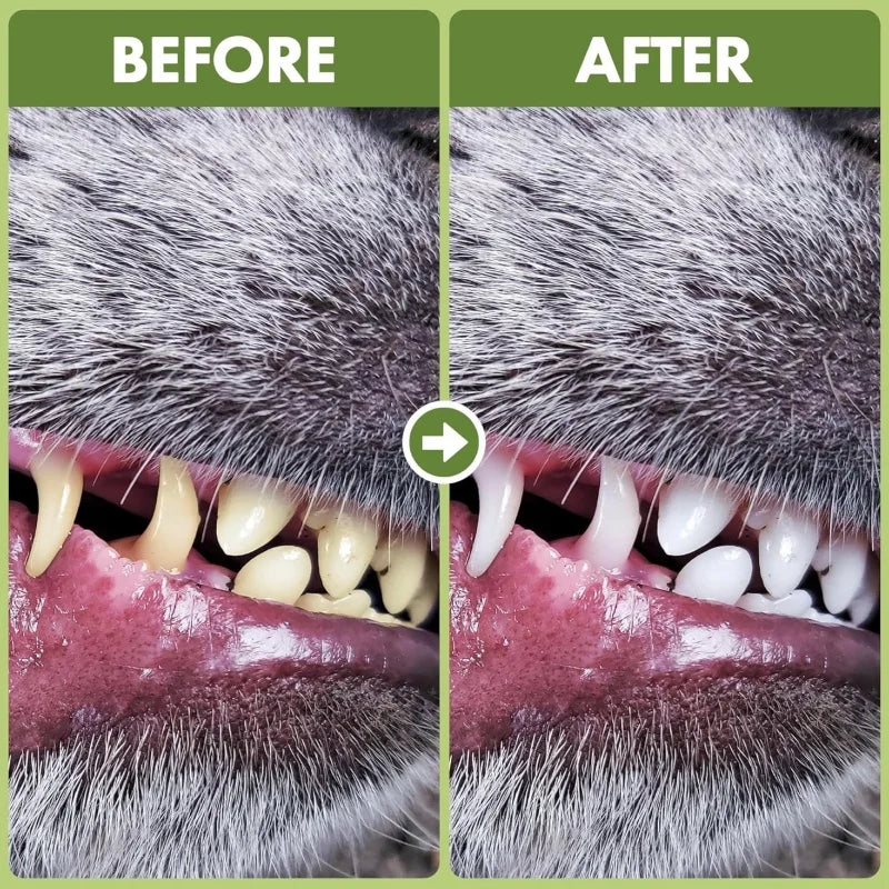 OEM ODM Service Dental Powder for Pet Supports Healthy Gums and Reduces Redness with Calcium 130g Free Sample