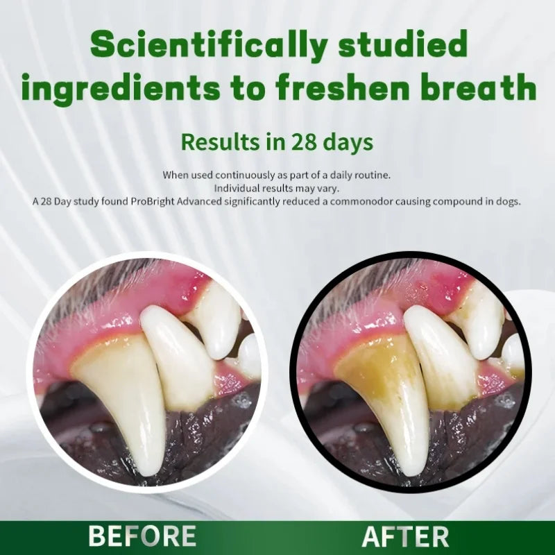 Factory Direct Teeth Cleaning Powder for Pet Supplements Oral Hygiene Care with Green Tea Extract 300g Free Sample